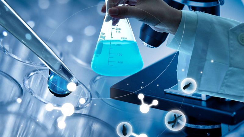 揭秘上海生物科技公司的实力角逐