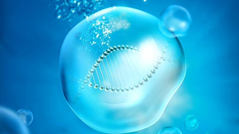 细胞工厂：揭秘生物医药产业的核心驱动力**
