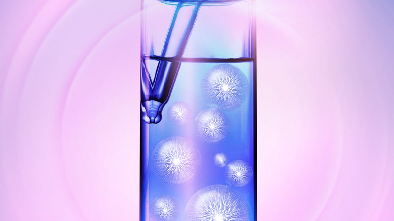 传统农业升级，生物科技赋能：转型中的行业洞察