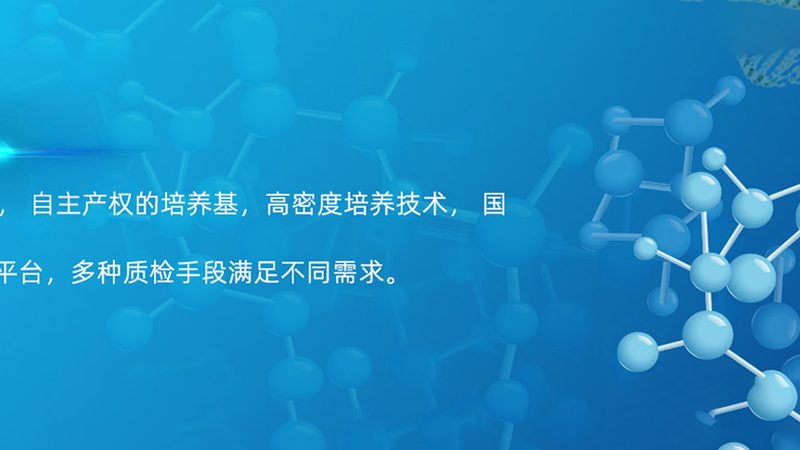 CDMO中试放大生产报价，揭秘背后的考量因素