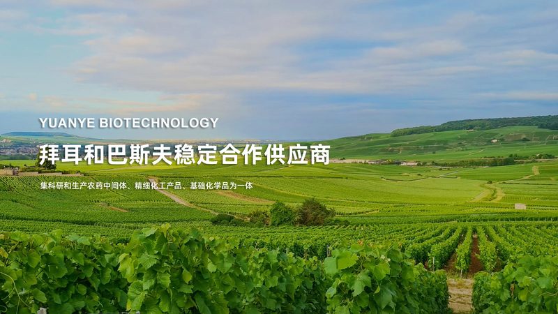 抗体检测试剂盒：揭秘背后的技术密码**