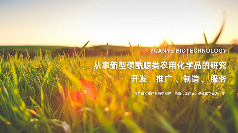 CDMO服务流程揭秘：从研发到生产的关键环节