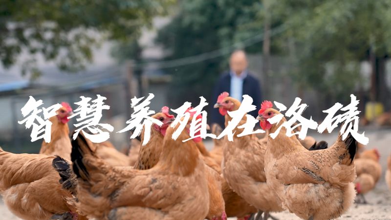 生物医药公司实力对比：揭秘评估关键要素