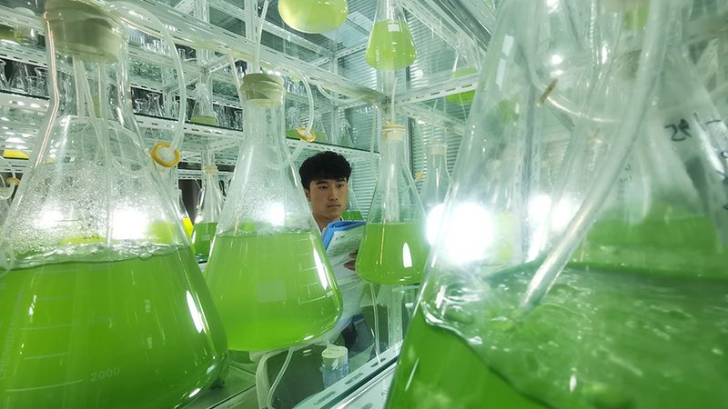 生物制品价格之谜：揭秘其定价背后的逻辑**